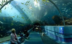 世界上最大的水族館排名，中國(guó)有兩處上榜