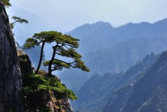 黃山市有什么好玩的景點？黃山市十大旅游景點排名