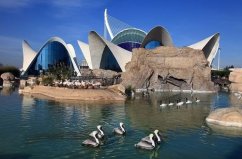 全球六個最大的水族館，真是夢幻的“水世界”