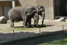 全球10大最神奇的動物園，中國入榜一個！