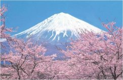 日本最美的自然風(fēng)光：富士山奪冠，你去過幾個(gè)？