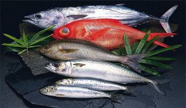 對(duì)心臟最好的十大食物：魚類、豆類、燕麥全上榜