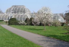 世界十大著名植物園排行榜，柏林植物園位居第九