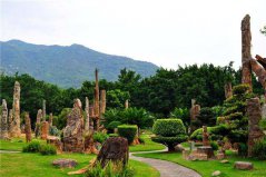 深圳十大城市公園：園博園入榜，仙湖植物園居榜首