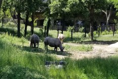 世界十大最佳動(dòng)物園，世界最著名的動(dòng)物園