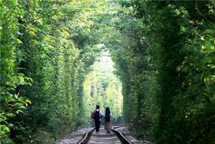 江蘇抖音十大熱門(mén)景點(diǎn)：靈山勝境上榜，愛(ài)情隧道排第一名