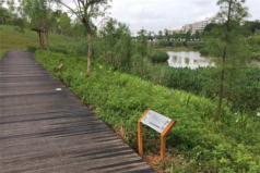 廣州十大公園排行榜，大觀濕地公園位列第一