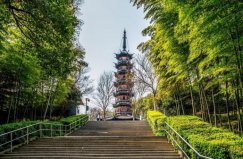 上海著名的六大森林公園，佘山國(guó)家森林公園排第一